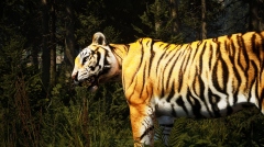 The Cenozoic Era � ������������ ��������� ��������� �� ���� ������������ ���