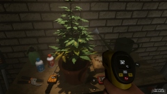 Drug Grower Simulator      