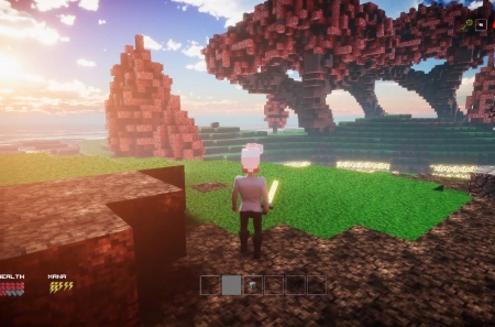 Voxellands    Minecraft    