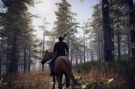 PROJECT D: Human Risen      ,    