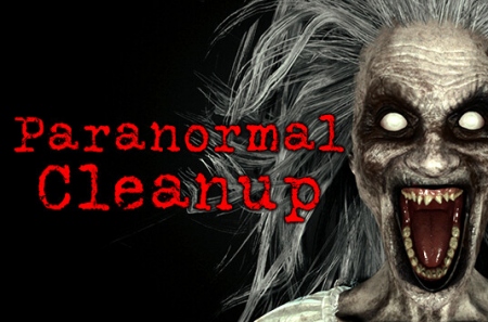 Paranormal Cleanup