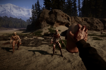 Разработчики Sons of the Forest выпустят игру в раннем доступе