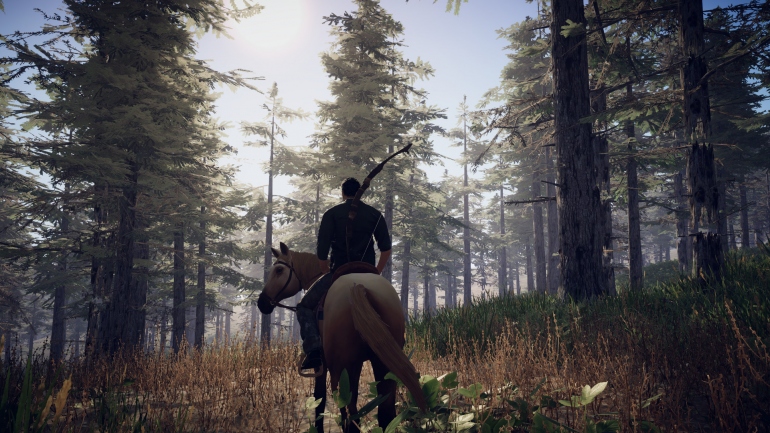 PROJECT D: Human Risen      ,    