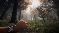 PROJECT D: Human Risen      ,    