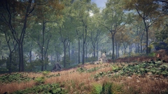 PROJECT D: Human Risen      ,    