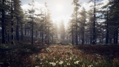 PROJECT D: Human Risen      ,    