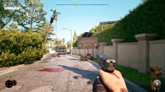 Deep Silver  14    - Dead Island 2