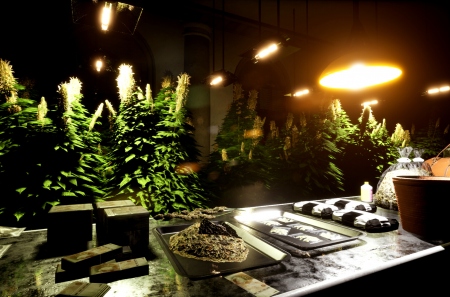 Drug Dealer Simulator 2 – новые приключения успешного наркобарона