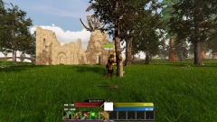 Arvita   MMORPG        