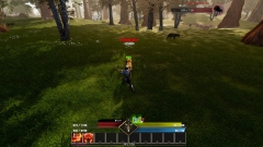 Arvita   MMORPG        