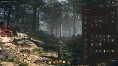 ������, ������, �������� � ��������� MMORPG Bellatores ������ ����� �� ����� ���������� ��� �����