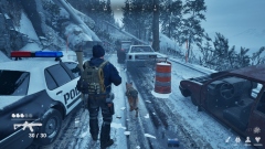 POSTFROST      Tom Clancys The Division  The Day Before