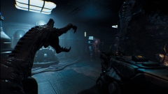 ������ �������������� ������� RIPOUT �������� ������ �������� � ������-�������