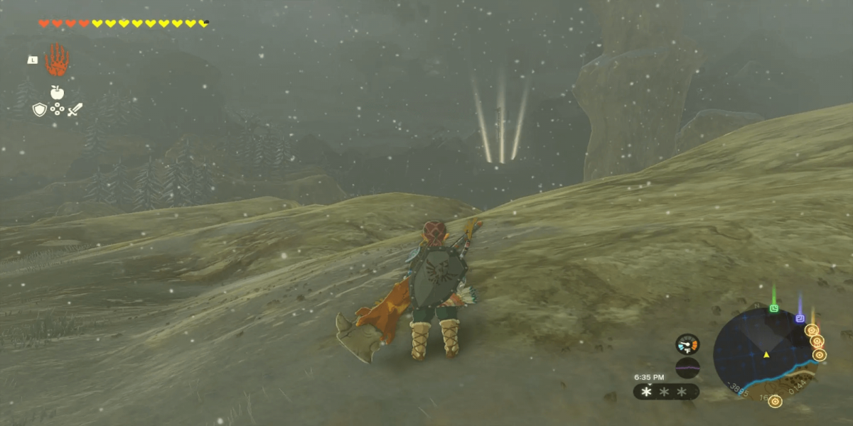      Zelda: Tears Of The Kingdom