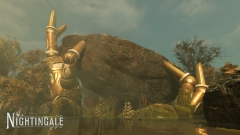 ������������ �������������� ��������� Nightingale �������� ����� ����������� �������� � �������� ������ ���������