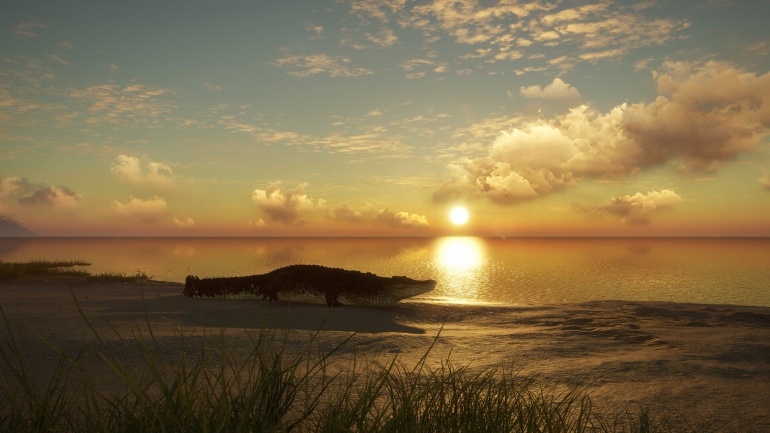 Emerald Coast – невероятная красота Австралии в крупном дополнении для theHunter: Call of the Wild Emerald Coast – невероятная красота Австралии в крупном дополнении для theHunter: Call of the Wild
