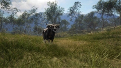 Emerald Coast – невероятная красота Австралии в крупном дополнении для theHunter: Call of the Wild Emerald Coast – невероятная красота Австралии в крупном дополнении для theHunter: Call of the Wild