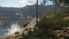 Emerald Coast – невероятная красота Австралии в крупном дополнении для theHunter: Call of the Wild Emerald Coast – невероятная красота Австралии в крупном дополнении для theHunter: Call of the Wild