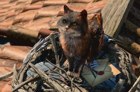 Релизный трейлер Baldur's Gate 3: игроки получат больше вариантов для секса и дойдут до Врат Балдура