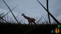 Primal Earth – красивый симулятор животного мира и дикой природы африканского континента Primal Earth – красивый симулятор животного мира и дикой природы африканского континента