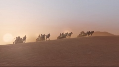 SEGA     Total War: Pharaoh