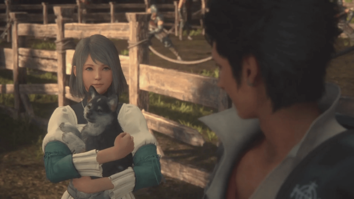 ������ ���� �� ��������. ����� �������������� ������ � ����������