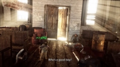 Arizona Sunshine 2      -  VR-