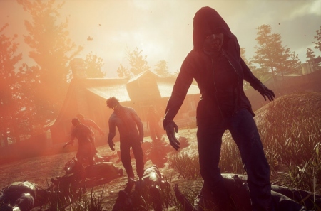     State of Decay 2  For The King