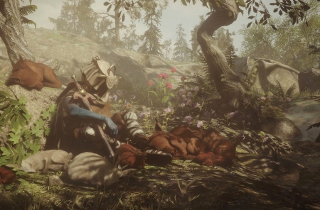   Soulframe,     Warframe