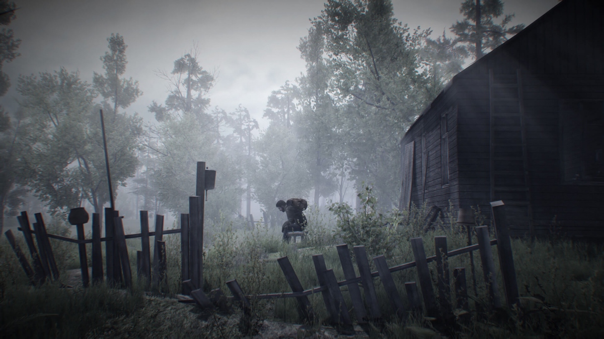 8 ,    S.T.A.L.K.E.R. 2