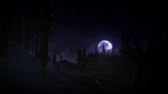 The Long Dark Multiplayer Mod      ,  