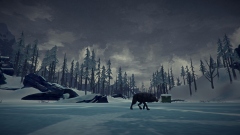 The Long Dark Multiplayer Mod      ,  