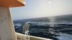 Ships At Sea – кооперативный симулятор живописной морской жизни Ships At Sea – кооперативный симулятор живописной морской жизни