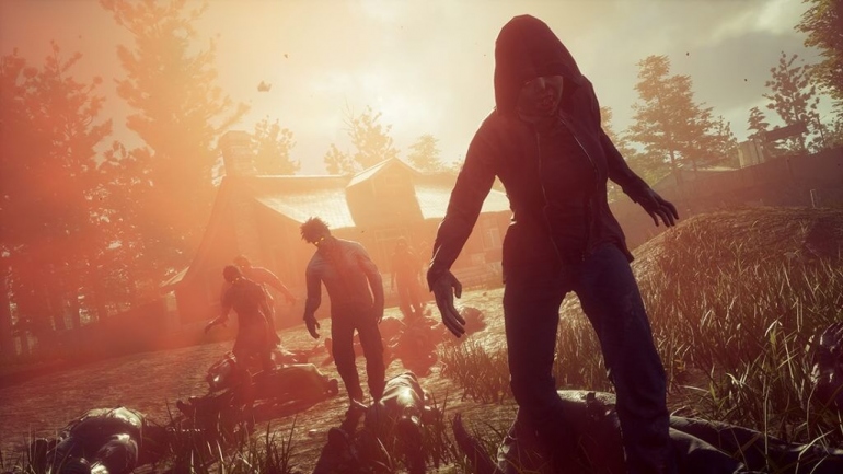     State of Decay 2  For The King