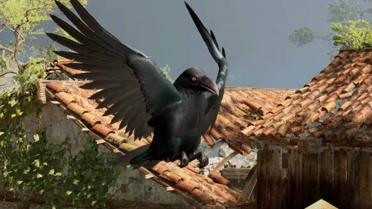     - .    Baldurs Gate 3  