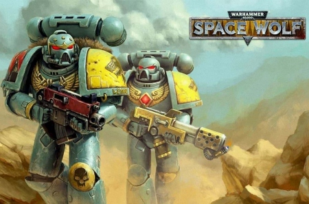 Разработчики Warhammer 40,000: Space Wolf объявили о закрытии игры