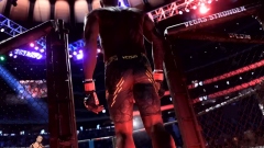 Electronic Arts �������� ������ �������� ����������������� �������� UFC 5