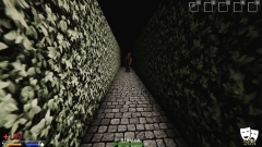 The Backrooms: Survival