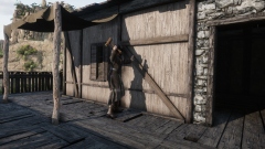 Pirates Republic    ,      -