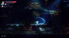 Anima Flux � ��������������� ������������ � ���������� ����������� ������