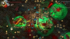 Striving for Light: Survival