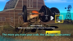 Fight Crab 2