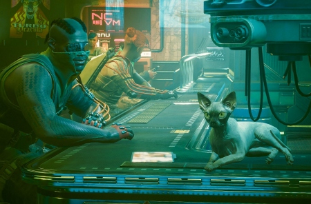  Cyberpunk 2077         