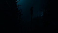 Ocean Gap � ������������� ������ � ������ �������� ������