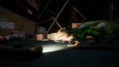 Infestation: Origins