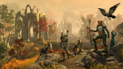 Gold Road     The Elder Scrolls Online