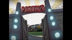 Welcome to ParadiZe