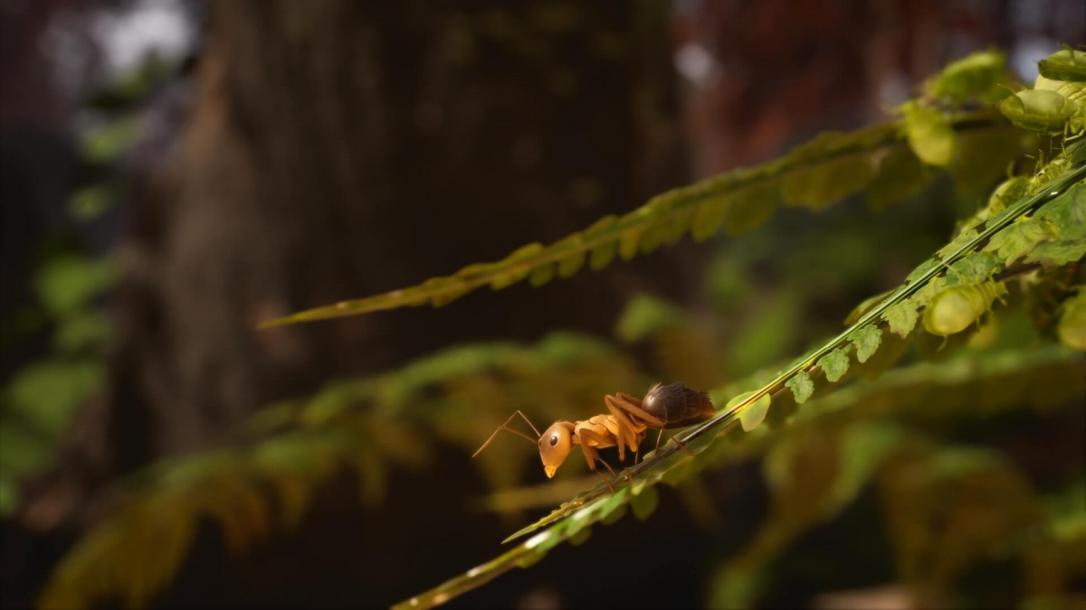 Мир принадлежит муравьям! Состоялся анонс стратегии Empire of the Ants Мир принадлежит муравьям! Состоялся анонс стратегии Empire of the Ants