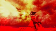  S.T.A.L.K.E.R.: Clear COOP  ,       