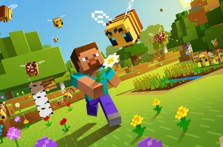 Minecraft   .   PlayStation 5   PSN